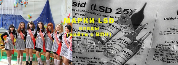 ГАЛЛЮЦИНОГЕННЫЕ ГРИБЫ Киреевск