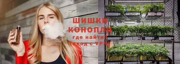 ГАЛЛЮЦИНОГЕННЫЕ ГРИБЫ Киреевск