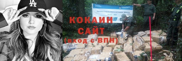 ГАЛЛЮЦИНОГЕННЫЕ ГРИБЫ Киреевск
