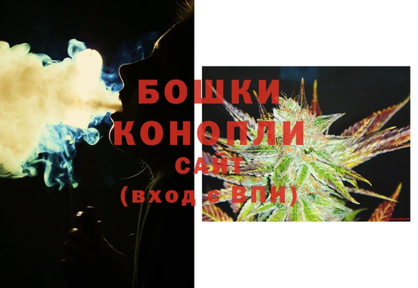 стафф Сосновый Бор