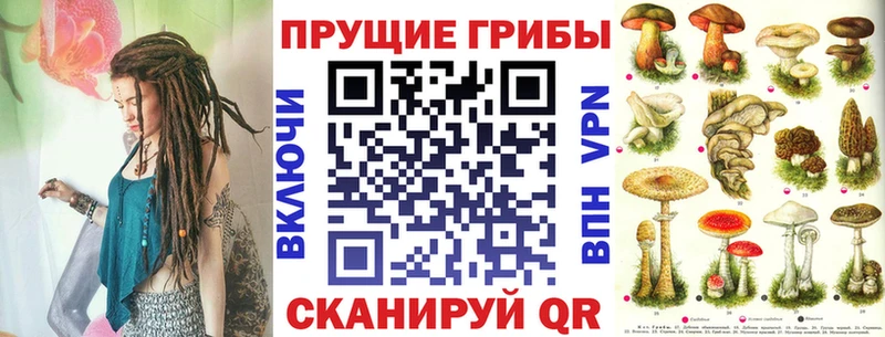 Псилоцибиновые грибы Psilocybe  дарнет шоп  Альметьевск 